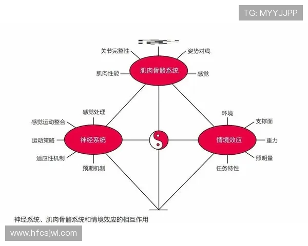 肌肉训练的科学频率：每日锻炼与恢复的平衡之道