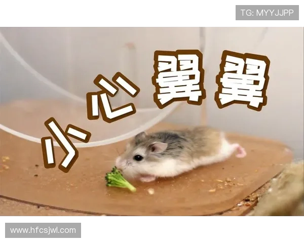 姘戞棌鍥㈢粨涔嬭姳鐩涘紑 鍖椾含鍠滆繋姘戞棌鍋ヨ韩鎿嶅叏鍥借禌 姘戞棌鍥㈢粨涔嬭姳鐩涘紑 鍖椾含鍠滆繋姘戞棌鍋ヨ韩鎿嶅叏鍥借禌